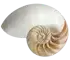 BodhiTirth
